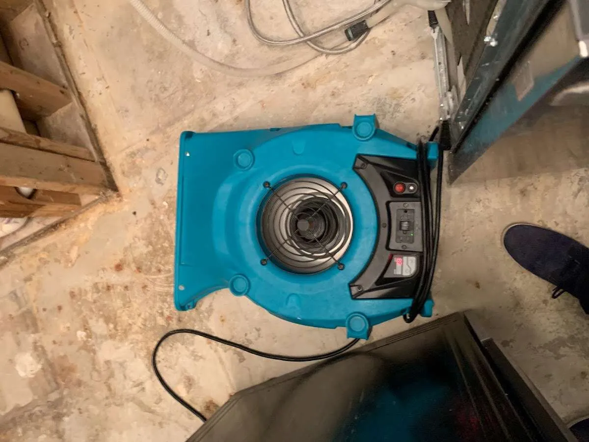 Air mover drying equipment for Mold Remediation & Removal in Laurel